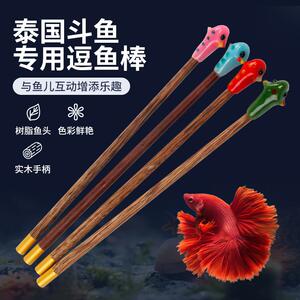 泰国斗鱼棒逗鱼棒纯手工制作斗鱼玩具展尾互动小工具半月狮王马尾