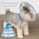 collar elizabethan neck recovery collars cone dog