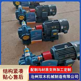 工厂直发变频调速齿轮泵KCB 300可调速齿轮泵2CY18润滑油输送泵