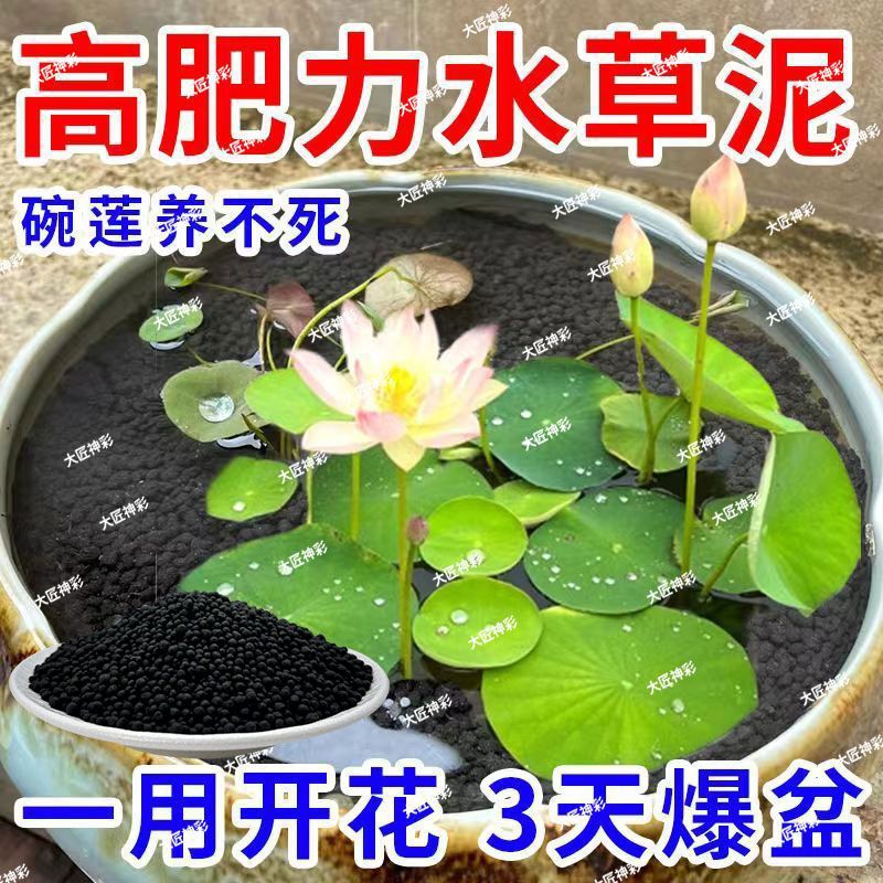 专用水草陶粒培植浑水粉化装饰