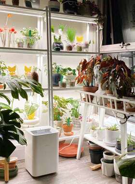 植物防水补光灯热植绿植全光谱户外室内多肉块根雨林缸生长灯