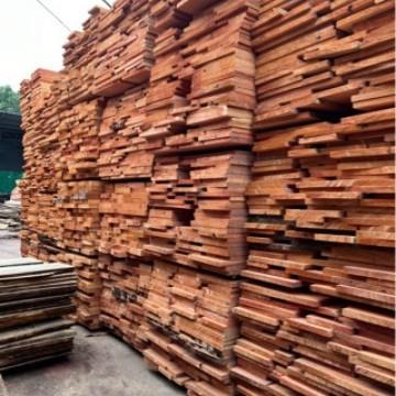 进口红椿原木红椿板材加工古建工程家具红椿木板材防腐木料白椿