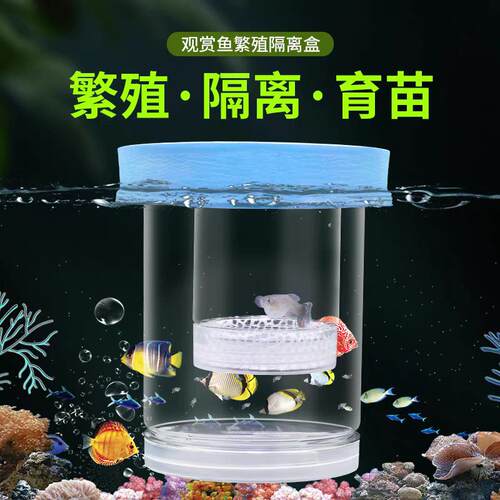 悬浮鱼缸孵化孔雀繁殖隔离孵化器