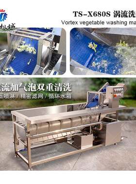 蔬菜苹果多功能气泡清洗机 洗菜机 豪华型涡流洗菜机 果蔬清洗机