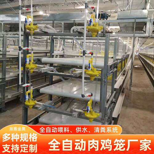 三层立式全自动肉鸡笼鸡舍家禽养殖自动恒温供水集蛋清粪养殖鸡笼