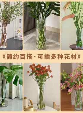 无孔大口径水培芋龟背白器掌碗压720莲专用花瓶皿塑料彷玻璃克力