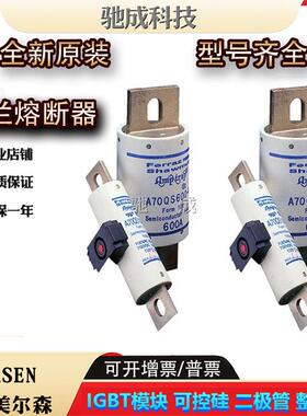罗兰A70QS175-4 A70QS200-4 A70QS250-4新保险丝诚信经营货源充足