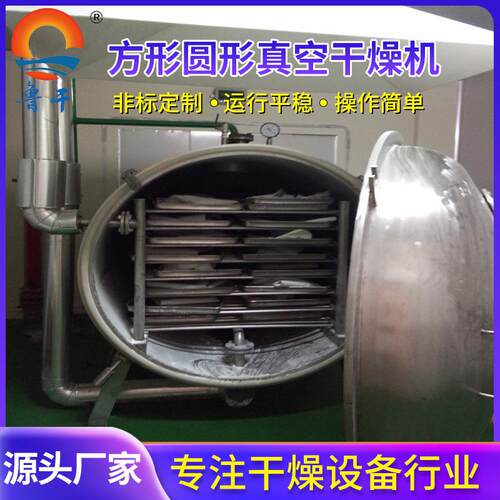 真空干燥机 鲁干牌 方形静态低温真空干燥箱 优欢迎选购