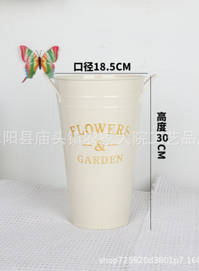 鲜花鲜花养花干花花盆装饰摆件