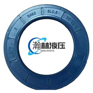 A2FOA2FEA2FM2832458090107125德国进口骨架油封CFW密封