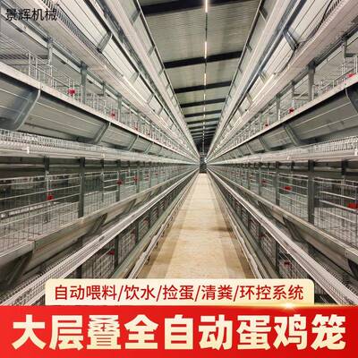大层叠式蛋鸡笼全自动化厂家立式大层叠3层4层热镀锌蛋鸡笼定制