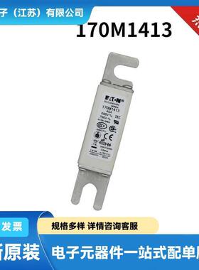 170M6929 170M6930 170M6936 170M6938原包快速熔断器 熔丝