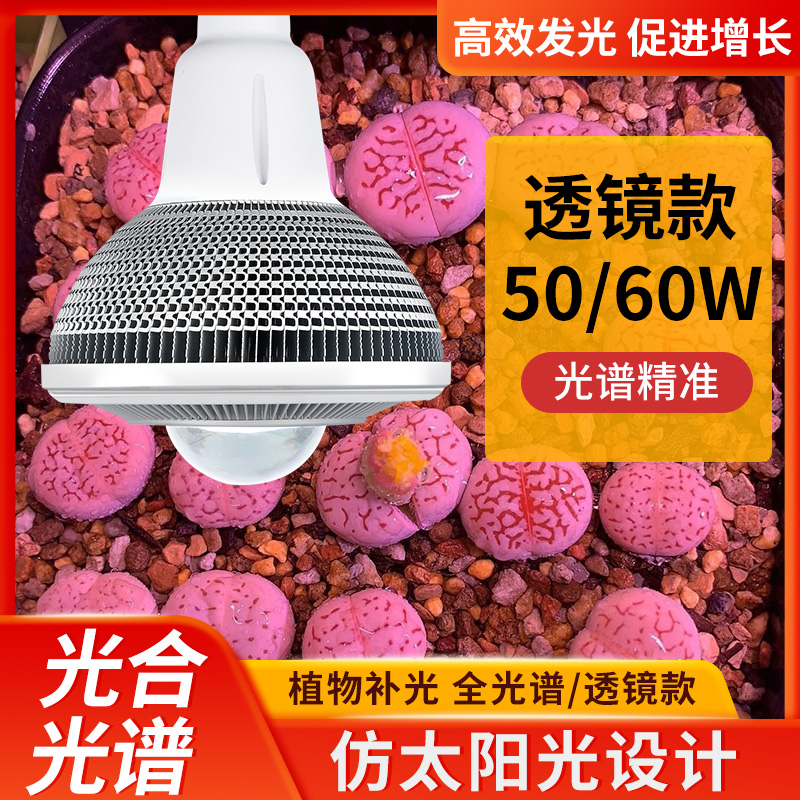 李林霖™多肉植物补光灯上色防徒全光谱仿太阳室内阳台透镜球泡灯