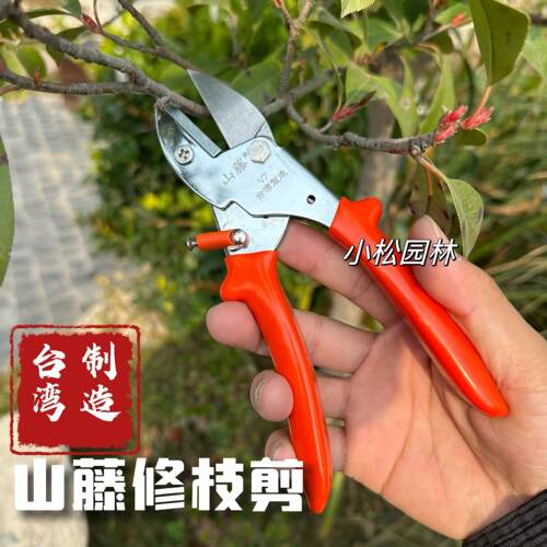 台湾山藤进口省力修枝剪大力剪省力剪8寸铁砧剪树枝剪修枝剪果枝