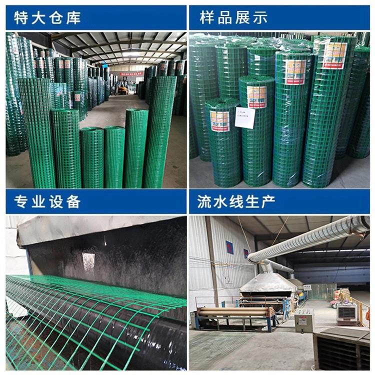 公路防护网片卷公园绿化防护围栏小区栅栏工地蓝色绿色镀塑钢丝网