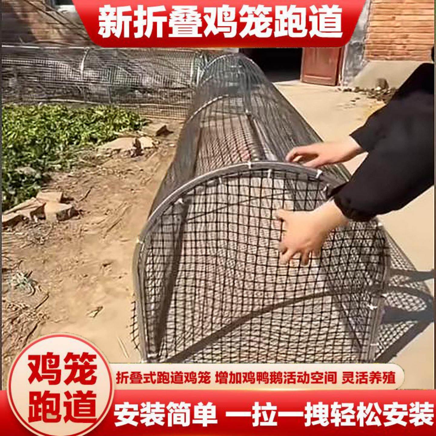 跑道鸡笼可折叠搭建走地养鸡笼子溜达家禽养殖家禽庭院跑笼围栏网