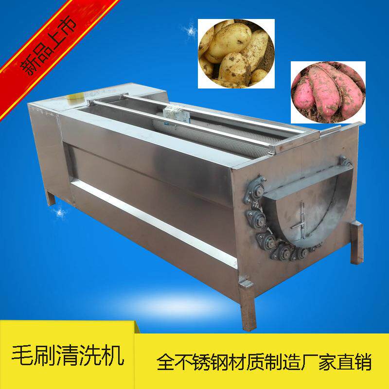 土豆毛刷清洗机800型红薯去皮机全不锈钢材质制造自动出料省时