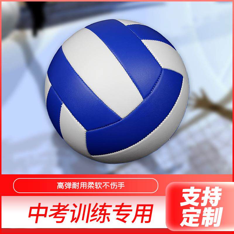厂家PVC机缝排球5号中考比赛专用球支持软式气 排球沙滩