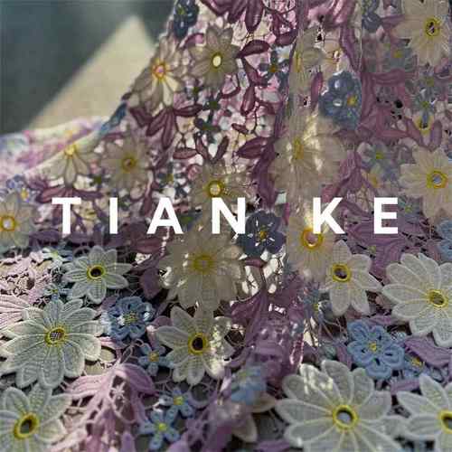 色镂空水绿溶绣花涤纶布料田园花朵包设袋家风居装饰服装计E6929