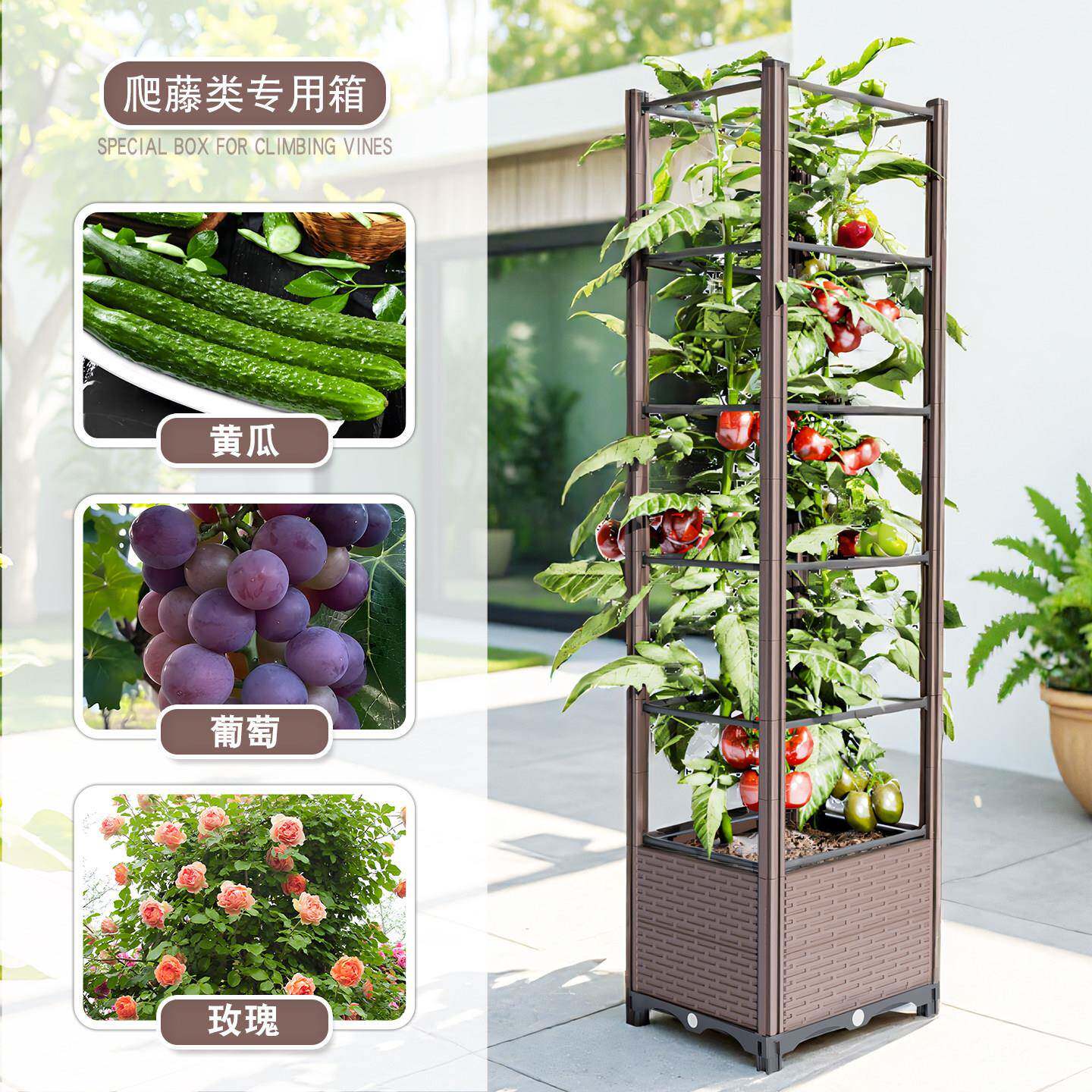 种阳台蔬菜种植盆庭院户外黄瓜月箱季植藤架爬加厚塑料固LQQ20251