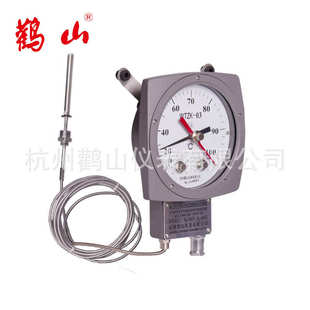 WTZK-03 油面温度控制器 变压器用温度控制器杭州鹳山