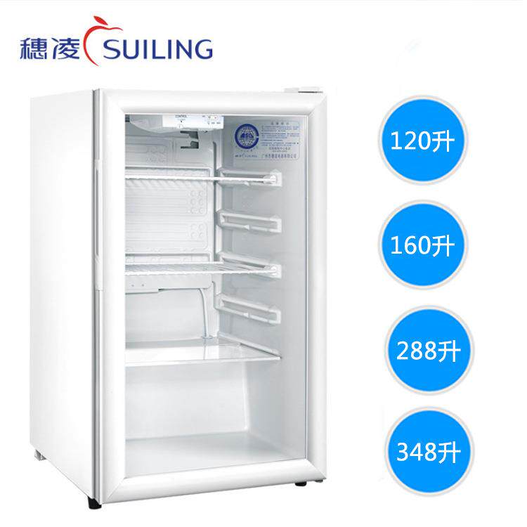 穗凌迷你冷柜家用立式小冷柜单温直冷保鲜柜冷藏柜饮料柜