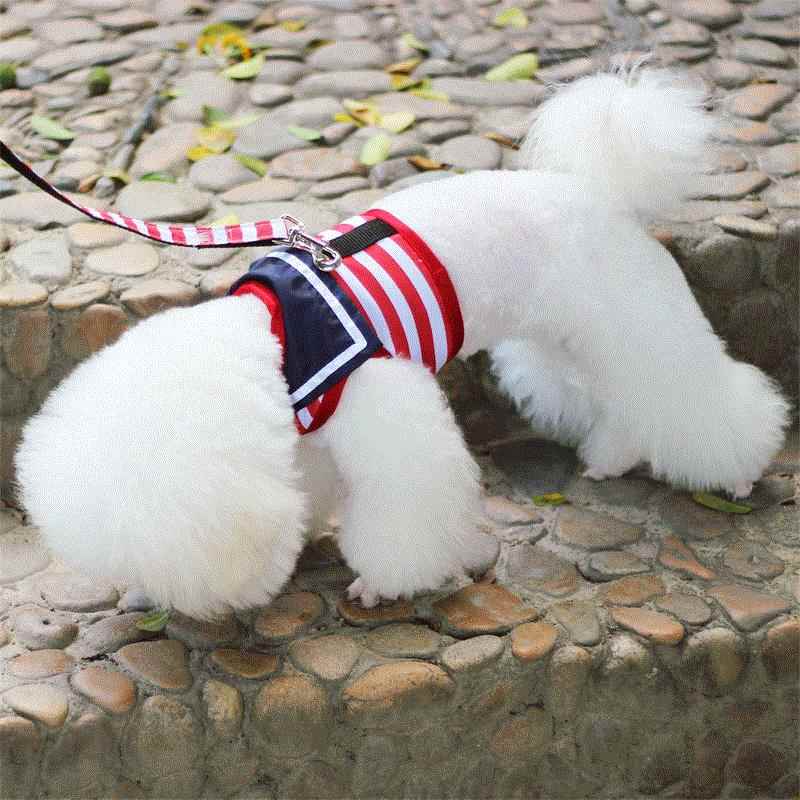狗狗牵引绳胸抱婴袋狗炼 炼 子泰迪小型犬遛狗绳子项圈贵宾宠物外