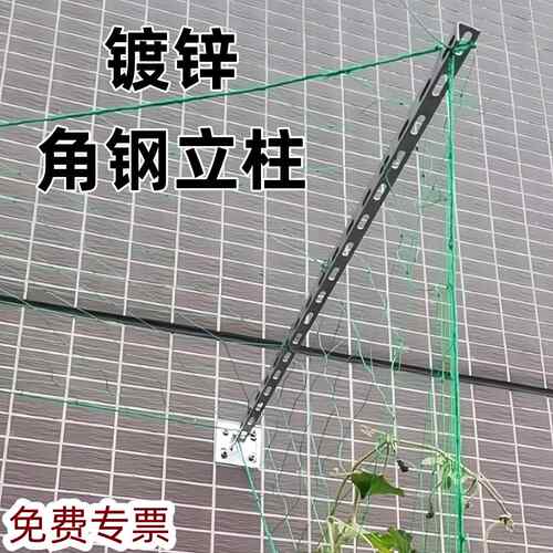 植物遮阳网支架墙面固定支架拉网立柱雨棚遮阳支撑架带底座支托架