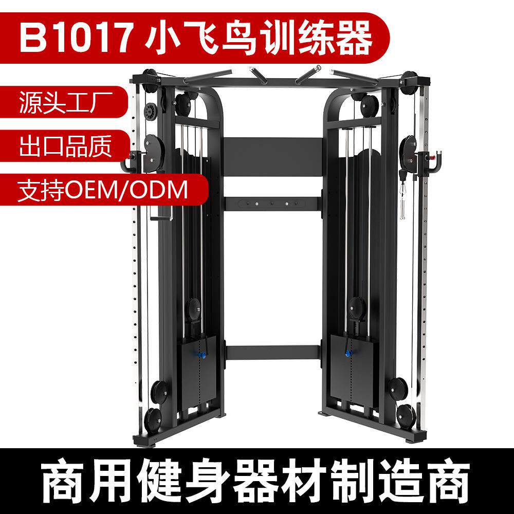 健身器材多功能力量器械龙门架健身房双臂机小飞鸟综合训练器可调