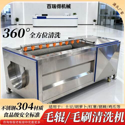 不锈钢毛辊清洗机土豆芋头清洗机全自动海鲜清洗设备