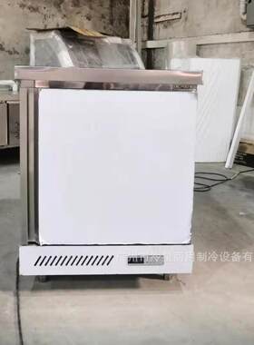 单门小型冷冻冰柜商用不锈钢冰箱110V60HZ风冷无霜
