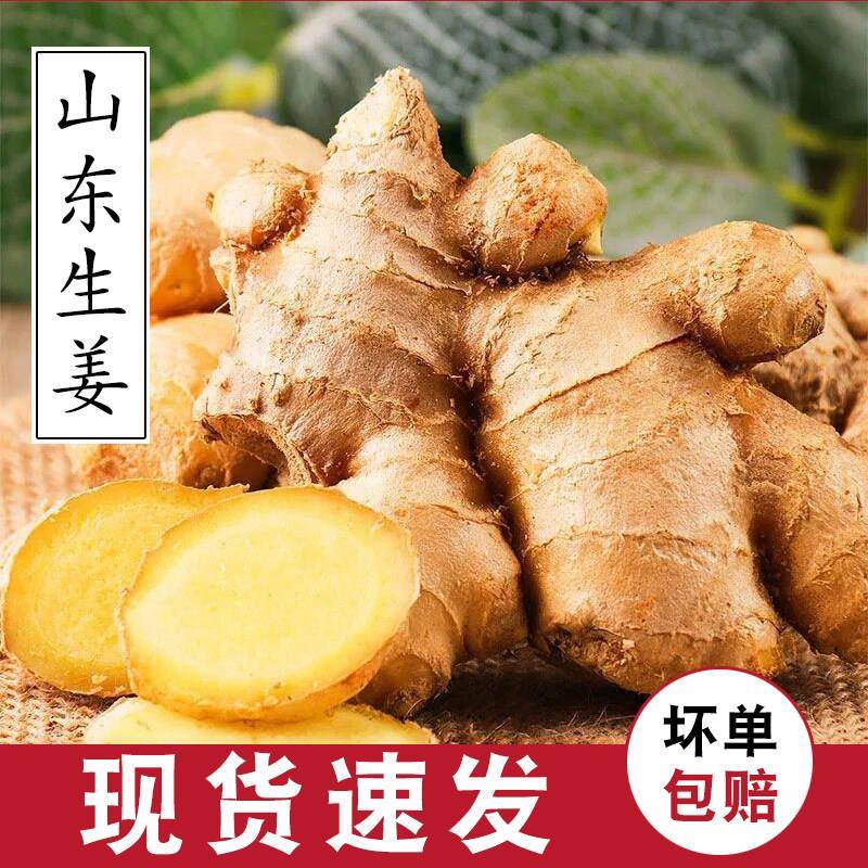 山东大姜优质生姜老姜新鲜大黄姜精品带泥生姜块老生姜老黄姜包邮
