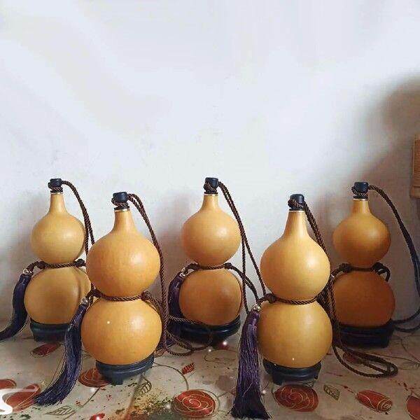 Water Bottle Gourd Wine Gourd Beverage Kettle Gourd Crafts
