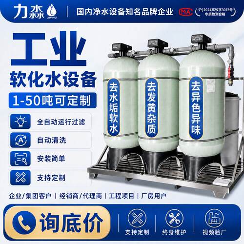 工业全自动软化水设备钠离子反渗透交换器地下水锅炉除水垢软水机
