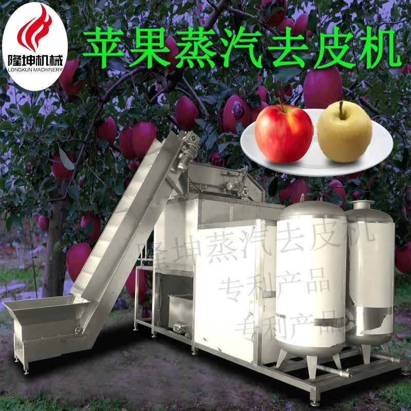 厂家供应全自动苹果蒸汽去皮机多功能蒸汽削皮机不锈钢材质