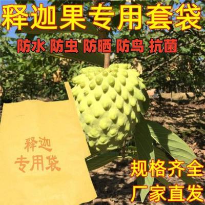 释迦果套袋专用袋佛头果套袋刺果番荔枝赖球林檎纸袋牛心果保护袋