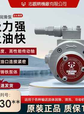 台湾志观TK3015HB-VB摆线泵TK3020HB-VD 出水切削液油泵3040 3030