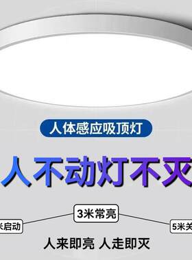 毫米波感应吸顶灯220VLED灯芯三防灯盘人体感应人在灯不灭灯常亮