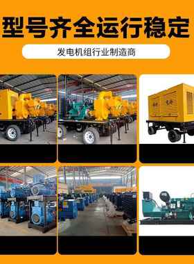 潍柴柴油发电机组50W/100K/2000300/50千瓦/工地矿山养殖用发034