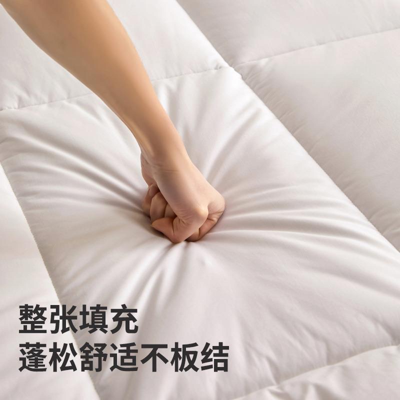 床垫遮盖物软垫家用床褥加厚榻榻米垫子宿舍学生单人折叠租房专用