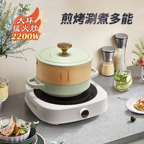 诺洁仕黑晶炉家用电磁炉光波炉智能新款电磁炉迷小型煮茶台式爆炒