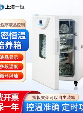 上海 精密恒温培养箱BPH-9042实验室工业微生物恒温培养箱