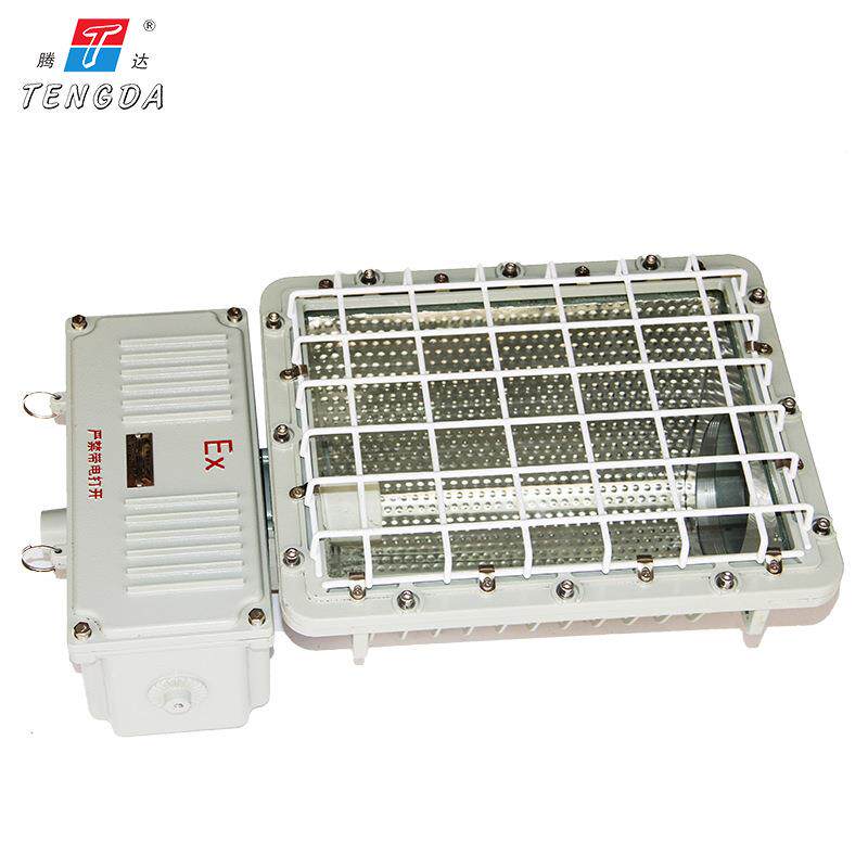 BTD92-250W-400W仓库厂房化工厂加油站防爆投泛光灯化工专用