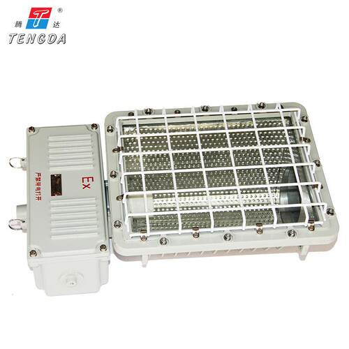 BTD92-250W-400W仓库厂房化工厂加油站防爆投泛光灯化工专用