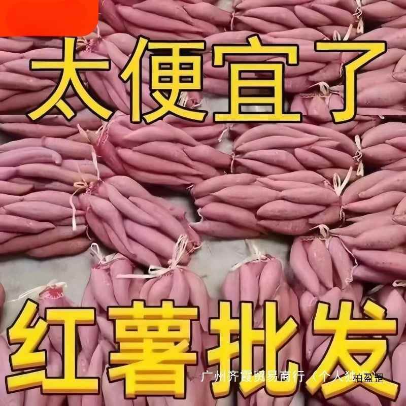 蜜薯新鲜红薯10斤农家香甜薯板栗黄红心烤地瓜糖心小番薯山芋1