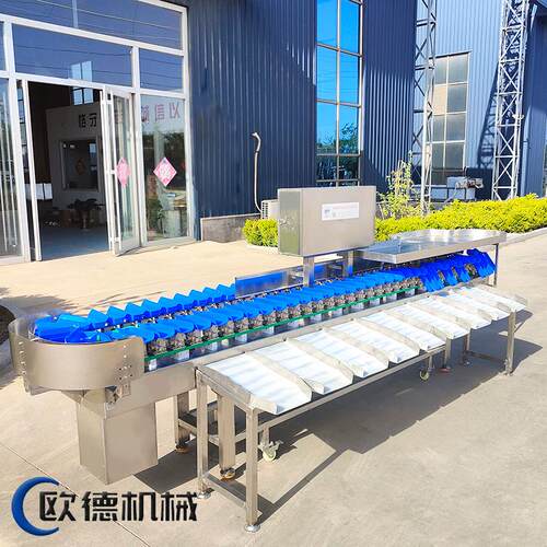 海参分选机 即食海参不锈钢传感器稳定分选 干海参误差0.3克