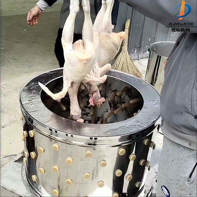 小型鸭鸡拔毛器 电动家禽脱毛机厂家直销 不锈钢立式鸡鸭鹅打毛机