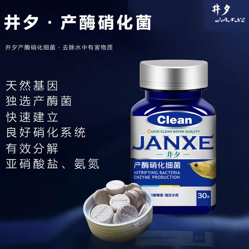 硝化细菌鱼缸用水族净水剂片剂硝化细菌活菌观赏鱼用井夕硝化细菌