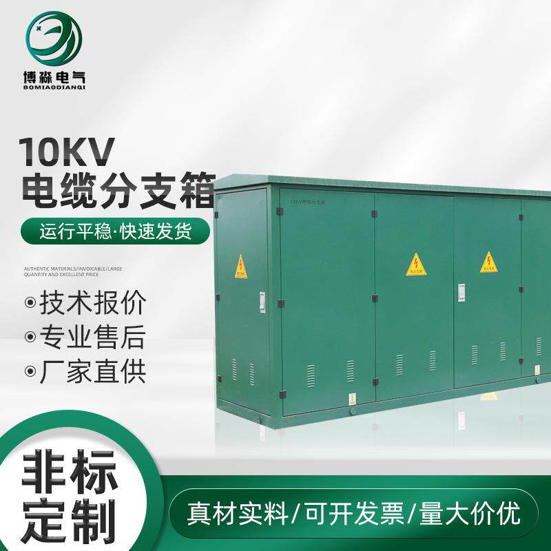 10KV电缆分支箱户外高压分支箱电缆分接箱分接箱电缆控制箱