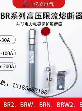 BR1-12KV电力电容保护用BR2-10KV/75A78A80A高压限流熔断器